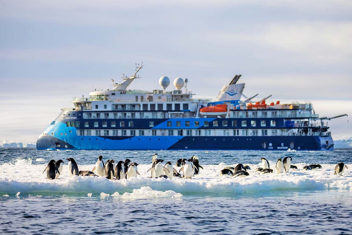 南極三島 聖誕跨年25日