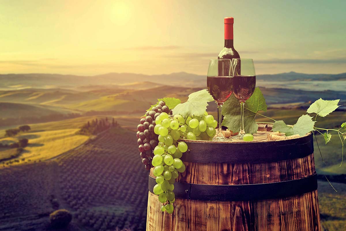 勁心品酒．悠遊湖區奧捷12日