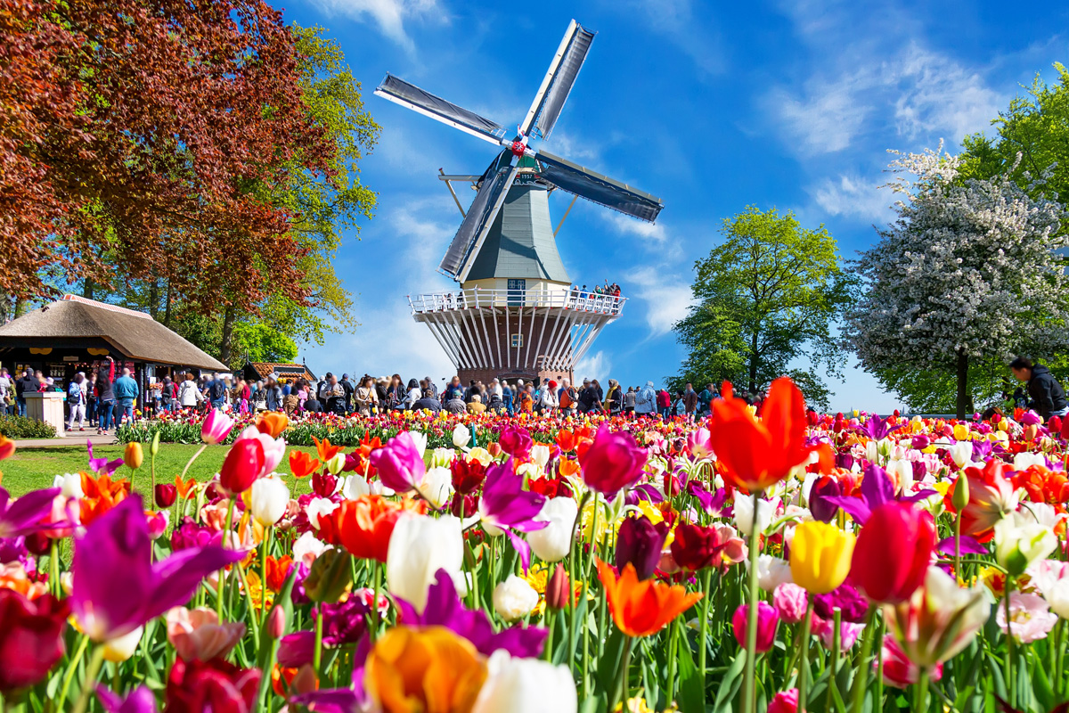 荷蘭．比利時．盧森堡花季12日