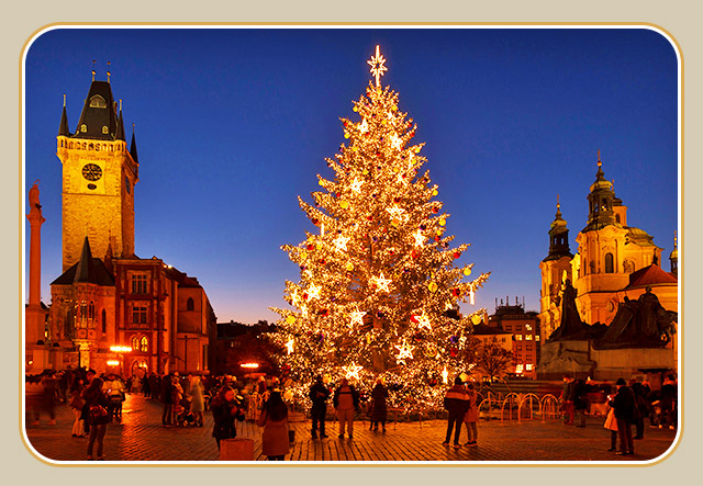華麗燈飾與聖誕樹