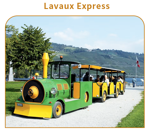 拉沃葡萄園小火車